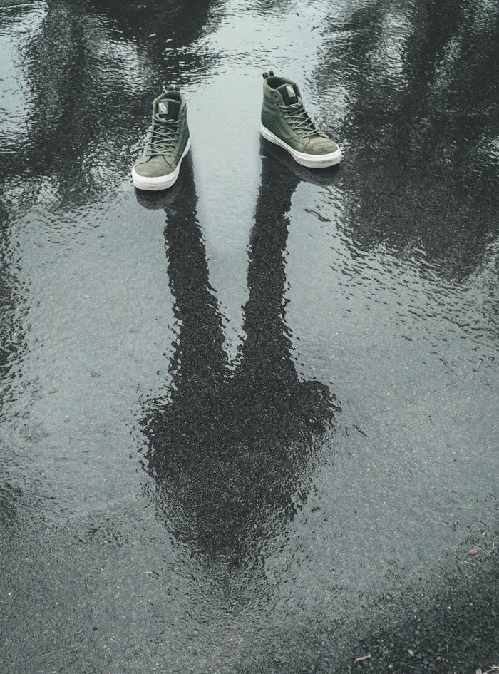 pexels photo 1554613